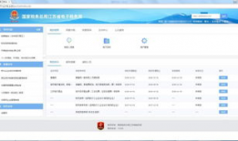 我要办税,轻松实现税事无忧